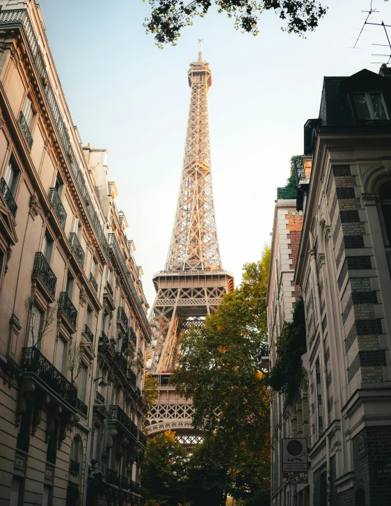 the eiffel tower is on top of the buildings