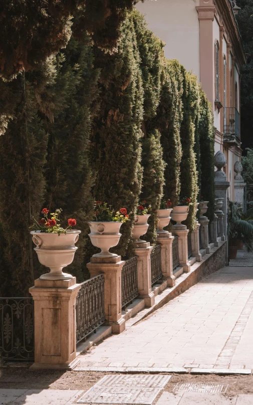 many plants are placed in cement pots on the outside of a building