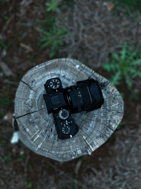two cameras on top of a wood log