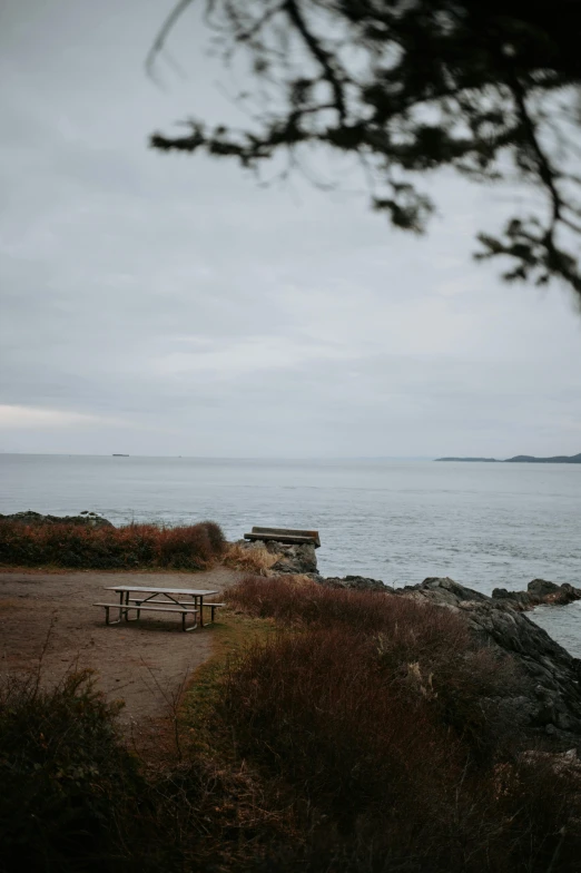 a bench sits on the edge of a beach