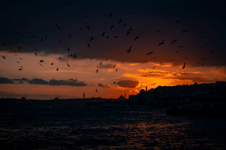 birds flying in the sky over a body of water