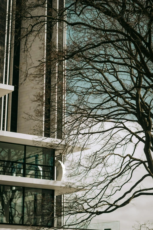 a building with a tree in front of it