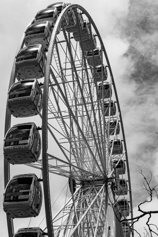 a ferris wheel sitting next to the top of trees