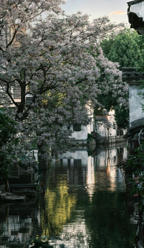 a lake in front of trees and buildings