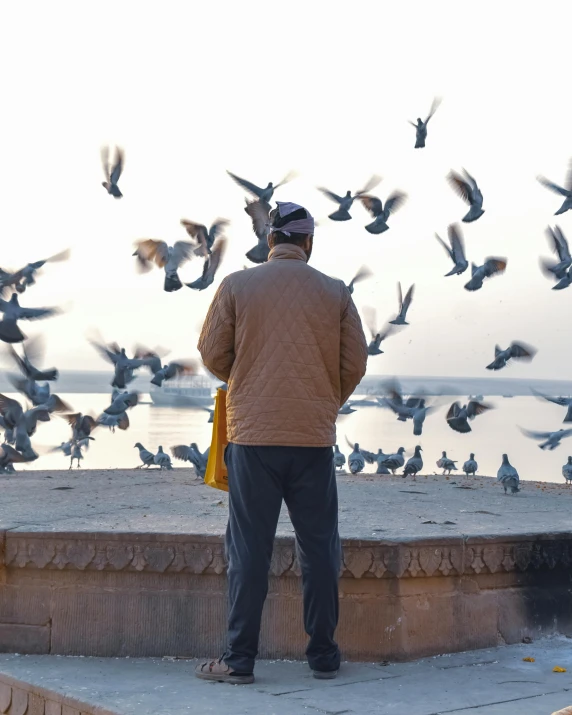 a man standing near a group of birds
