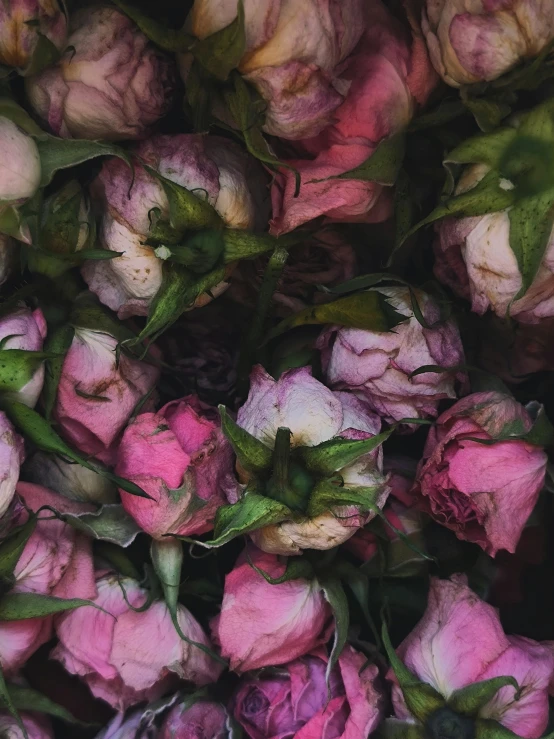 the large bouquet of pink and purple flowers is arranged close together