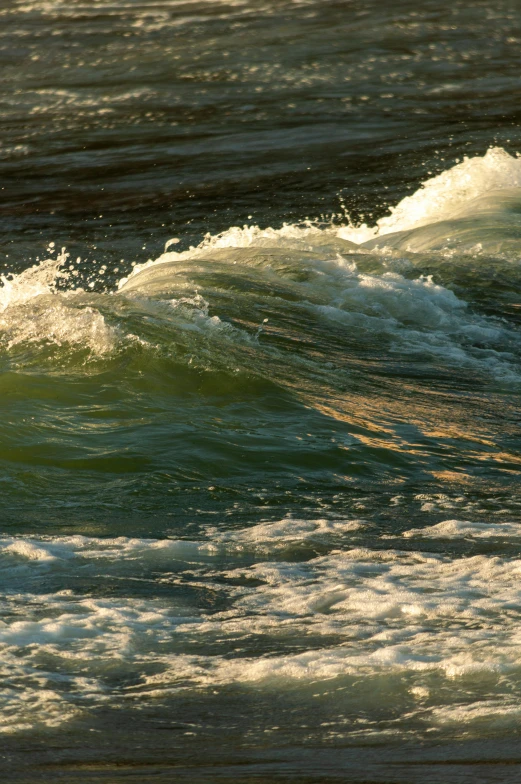 a surfboarder rides a small wave on a sunny day