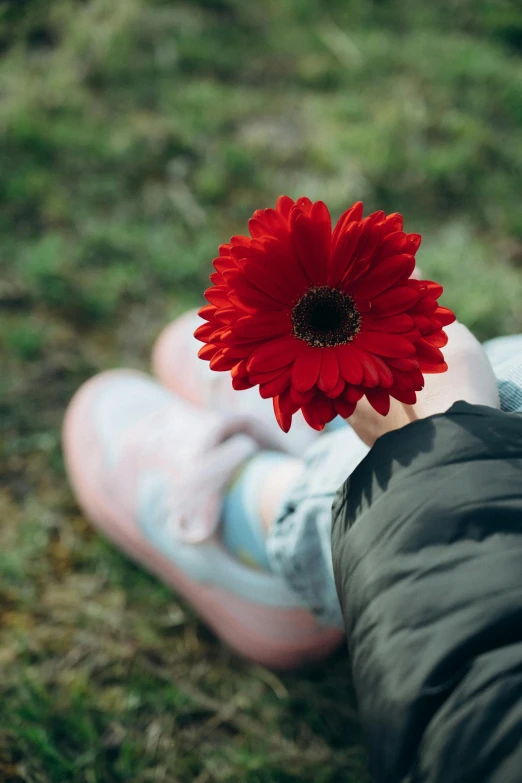 someone holding a red flower near their foot