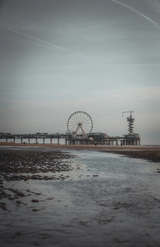 the ferris wheel is seen near a small body of water