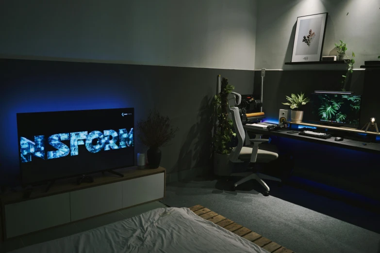 a television screen sits on a table with plants