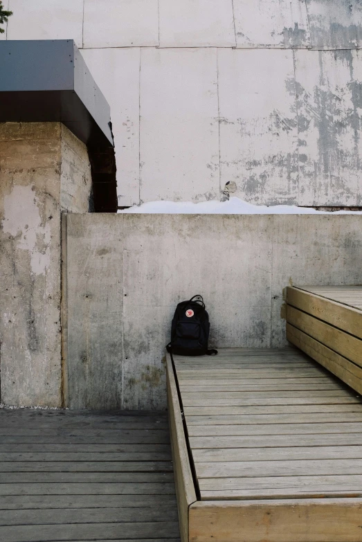 black and pink teddy bear on concrete with luggage