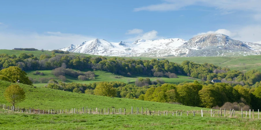 a grassy field with trees and mountain range in background