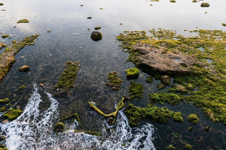 water running under a bridge filled with lots of moss covered rocks