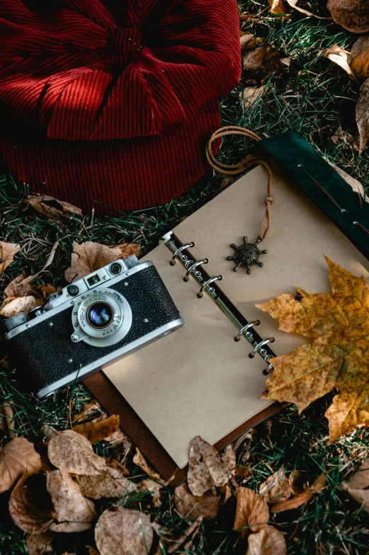 a camera, pen and notepad lying on a fall leaf pile