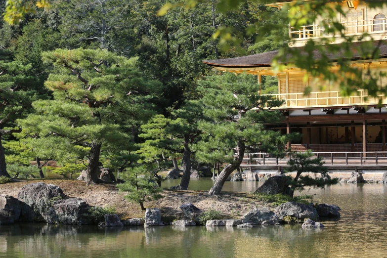 this is an outdoor area with a small pond