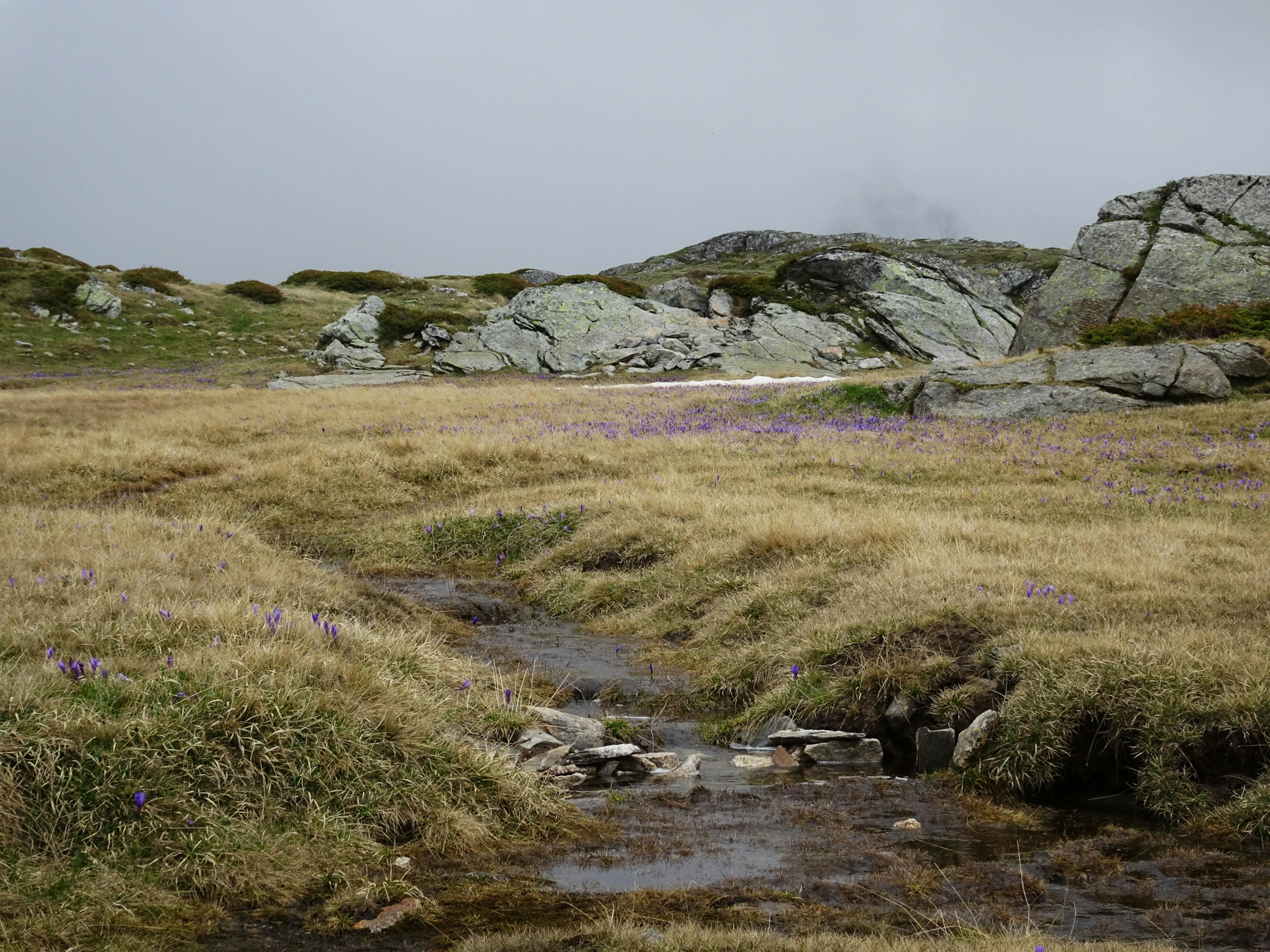 a valley with a very small stream running through it