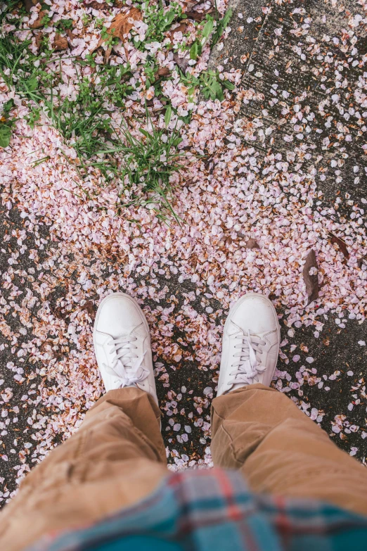 a person standing in the center of a pink flower carpet