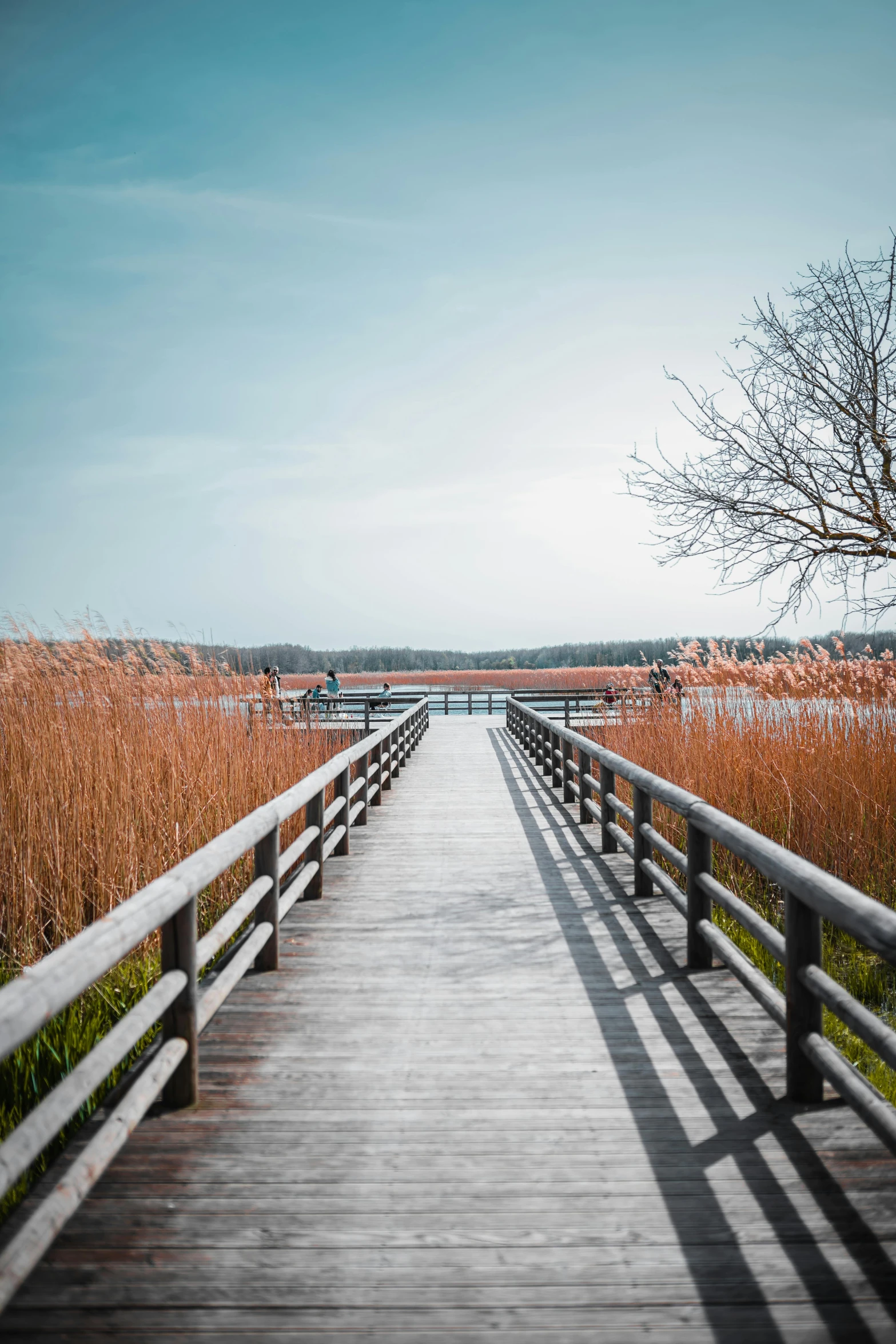 there is a boardwalk with a few benches on it