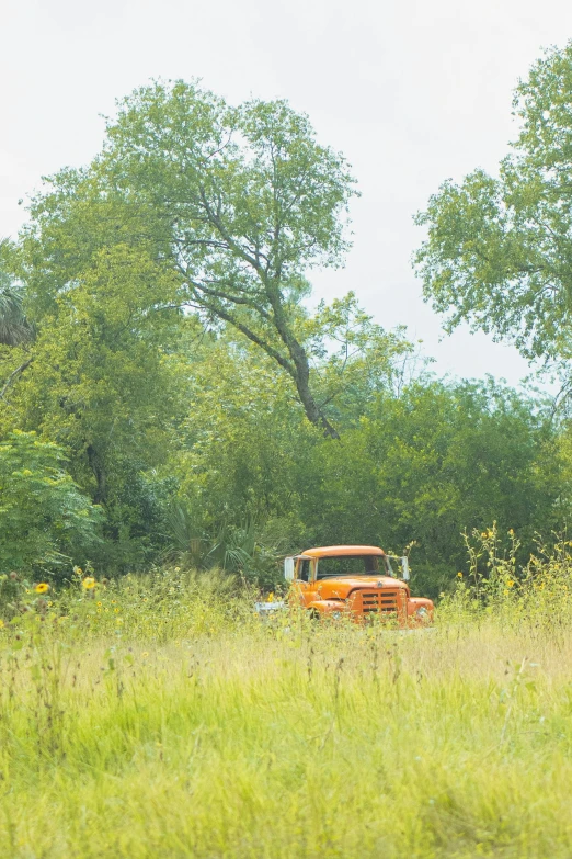 an old yellow truck is in the field