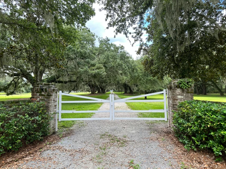 a driveway entrance leads to a wooded area