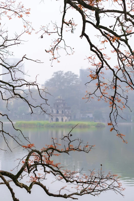 a lake surrounded by nches and trees in the fog