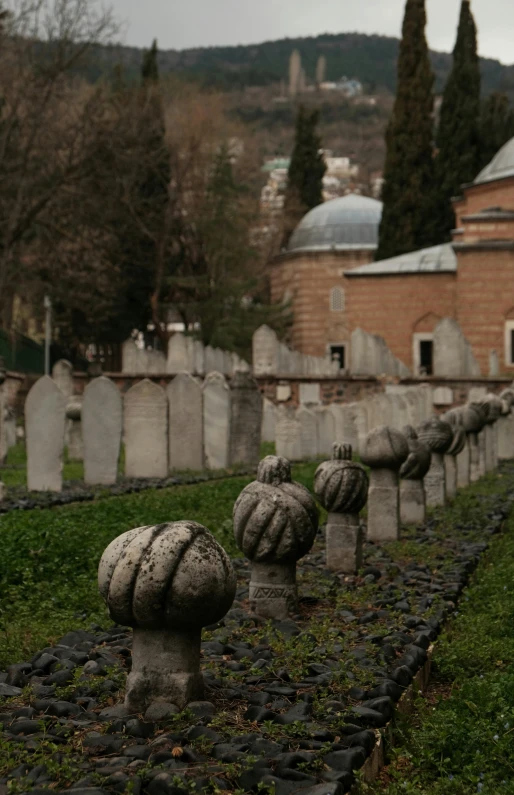 the grave yard in a cemetery is lined with headstones