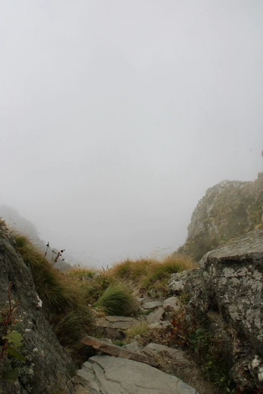 a foggy and gloomy mountain landscape is pictured with the pathway that goes up