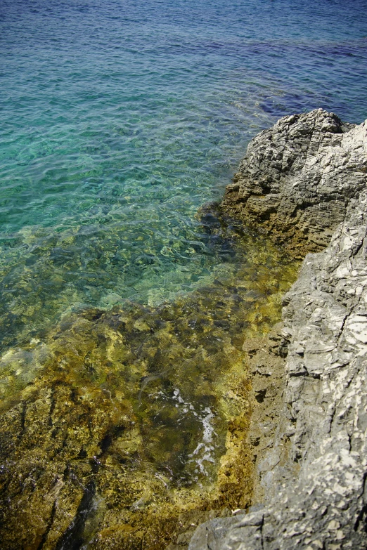 the water is crystal blue and clear near a beach