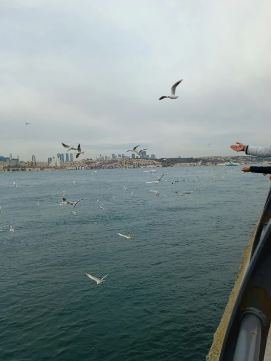 a flock of birds flying over the top of a body of water