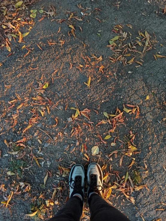 someone is standing on pavement in leaves