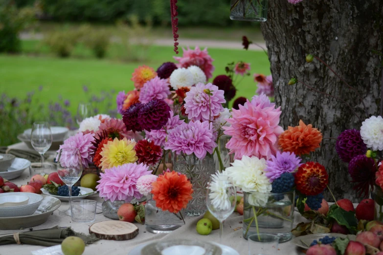 an outside setting with a variety of flowers and apples