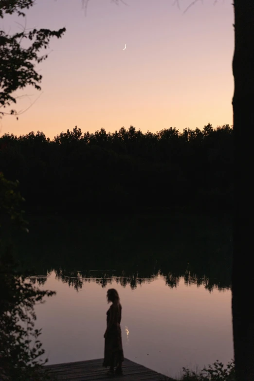 silhouetted person standing on wooden pier with dark trees in foreground