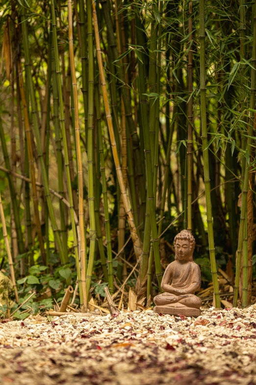 the small statue stands between tall bamboo stalks