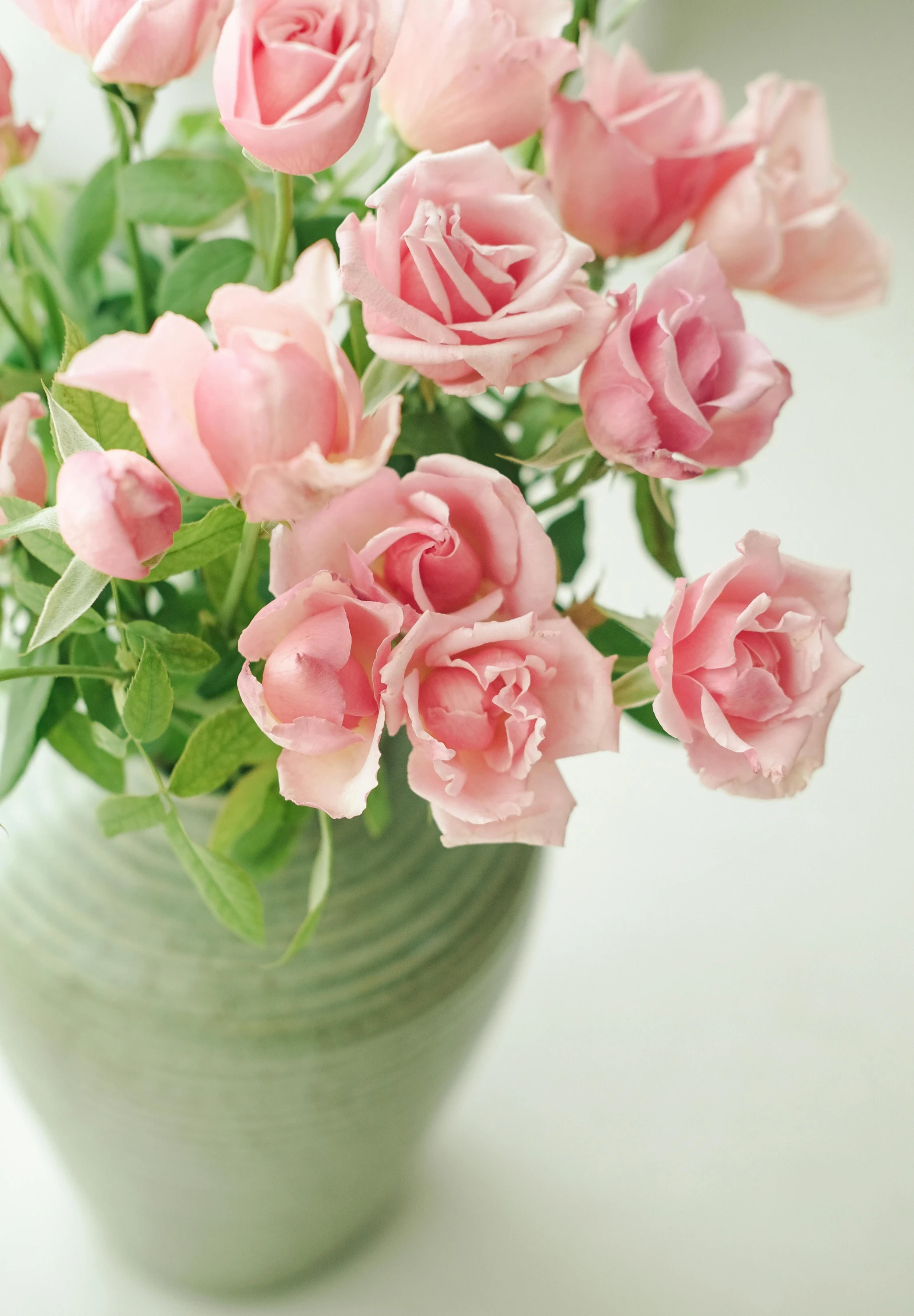 a bunch of pink roses that are in a vase