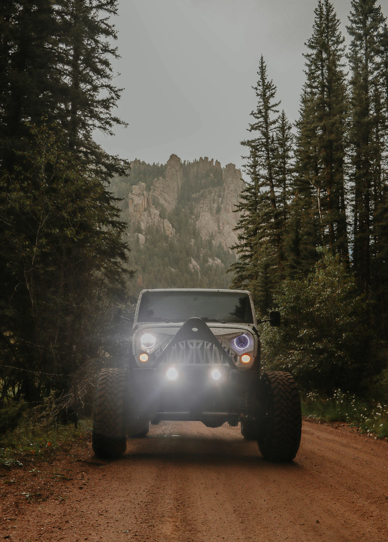 a jeep driving down a dirt road near trees