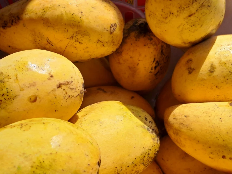 a yellow fruit with brown dots on the side