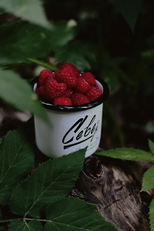 raspberries are sitting inside a cup on a tree nch