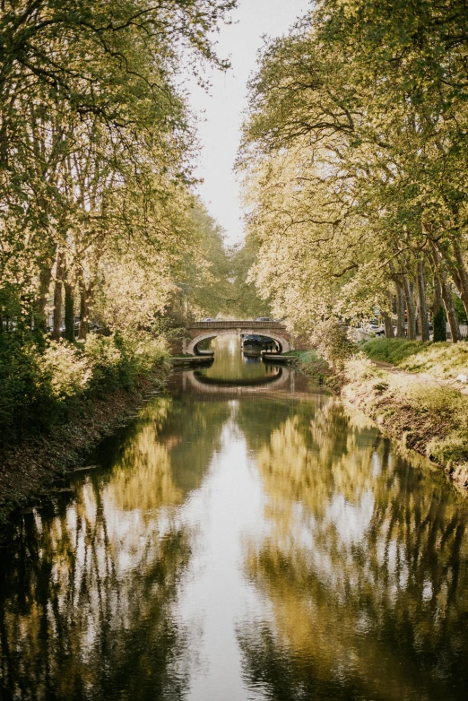 the water is clear, reflecting the trees around the boat