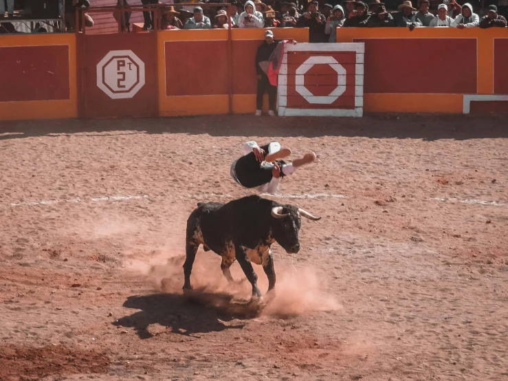 the bulls are fighting in a bullfight