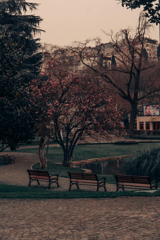 a couple of benches sitting next to a park