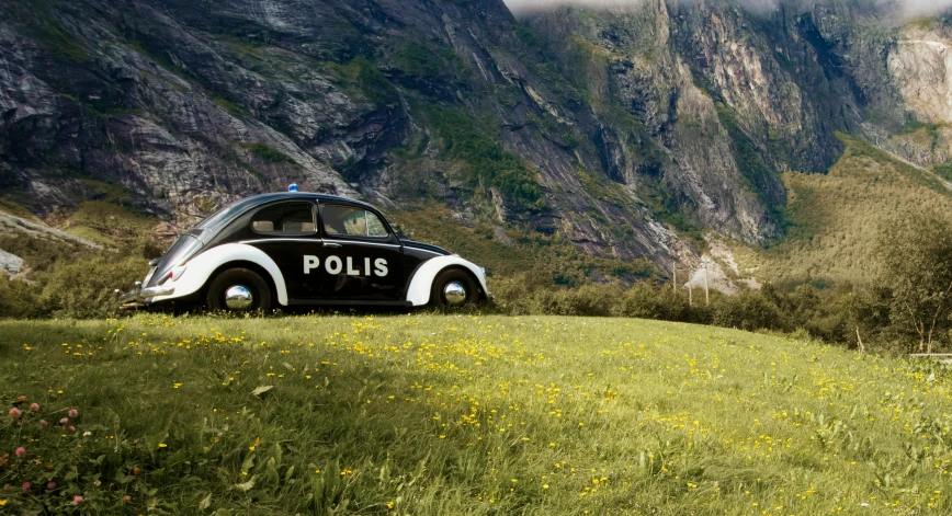 a police car parked in front of mountains