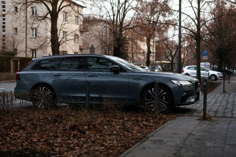parked grey car on sidewalk surrounded by fallen leaves
