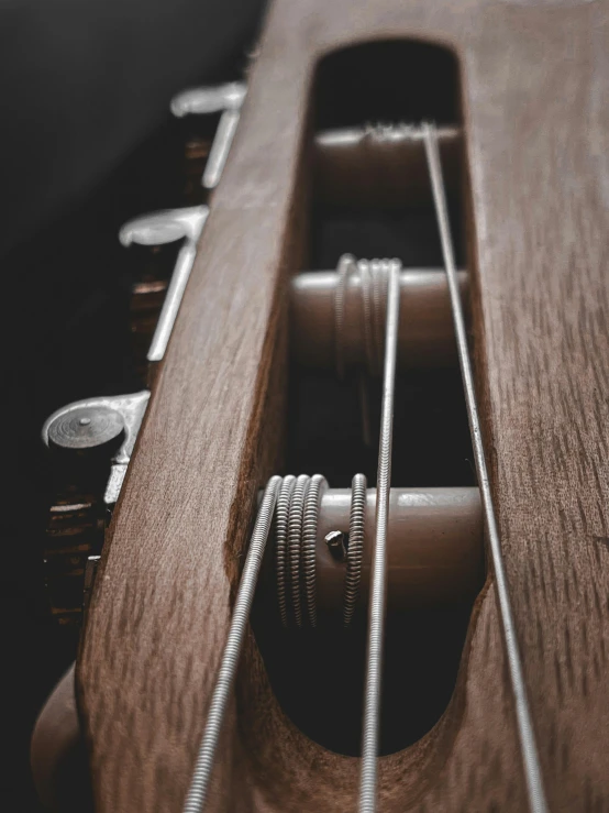 closeup of a neck of a instrument with a string  in the neck and in the case