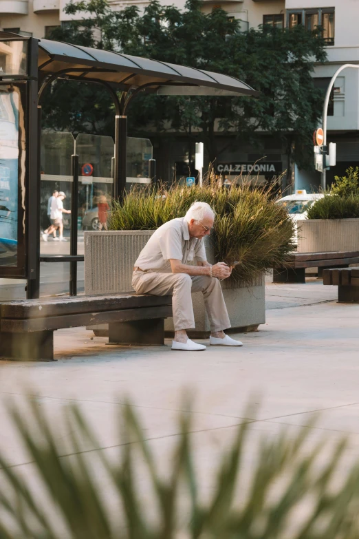 a man sitting on top of a bench next to a plant