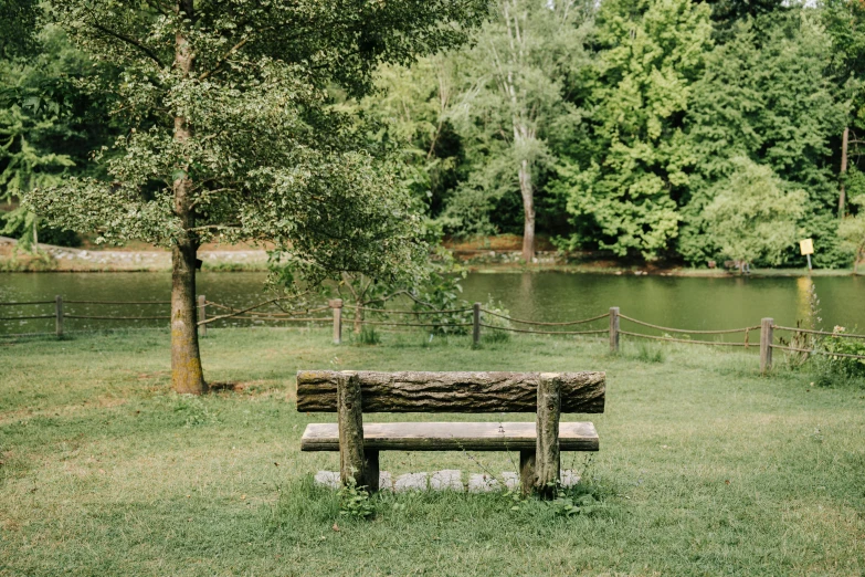 there is a bench in the grass by a tree