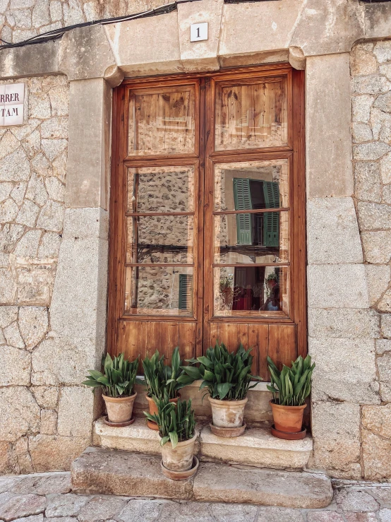 a window and some plants on a stone sidewalk