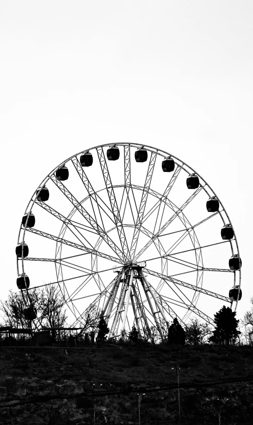 a large ferris wheel sitting on top of a hill