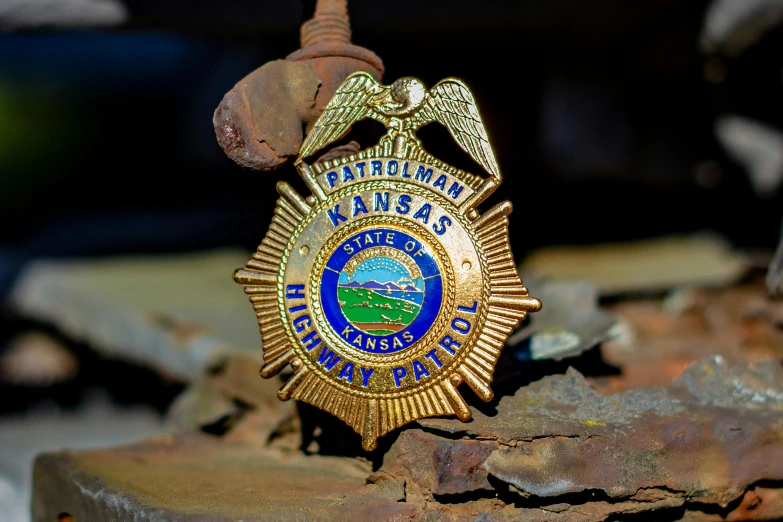 a badge with an eagle on it sitting on some rocks