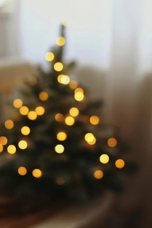 a small lighted christmas tree in a living room