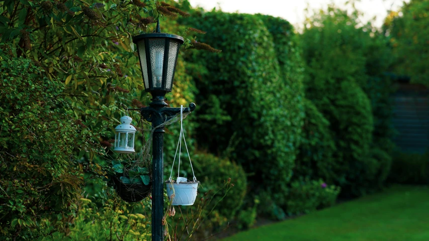 a light post is surrounded by shrubbery and a lawn